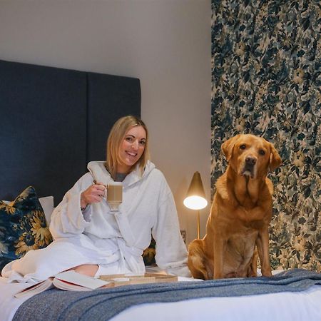 Гостевой дом Mulberry House Ongar Экстерьер фото